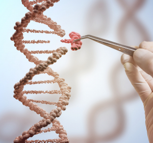 Genome Editing mit CRISPR/Cas9 in Onkologie und Hämatologie