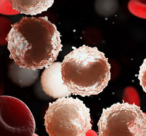 CLL13-Studie: Venetoclax/Obinutuzumab +/- Ibrutinib verlängert PFS gegenüber Chemoimmuntherapie bei der CLL