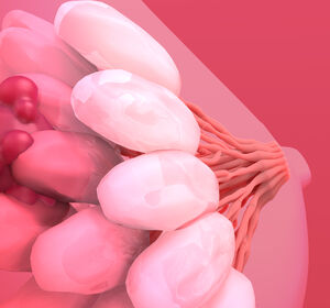 Frühe Response-Beurteilung beim frühen Mammakarzinom durch dynamische Biomarker