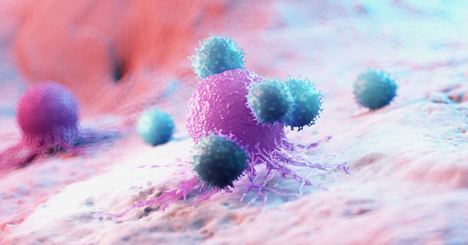 CAR-T-Zell-Therapie: Wirksamkeit, Immuntoxizität und Perspektiven