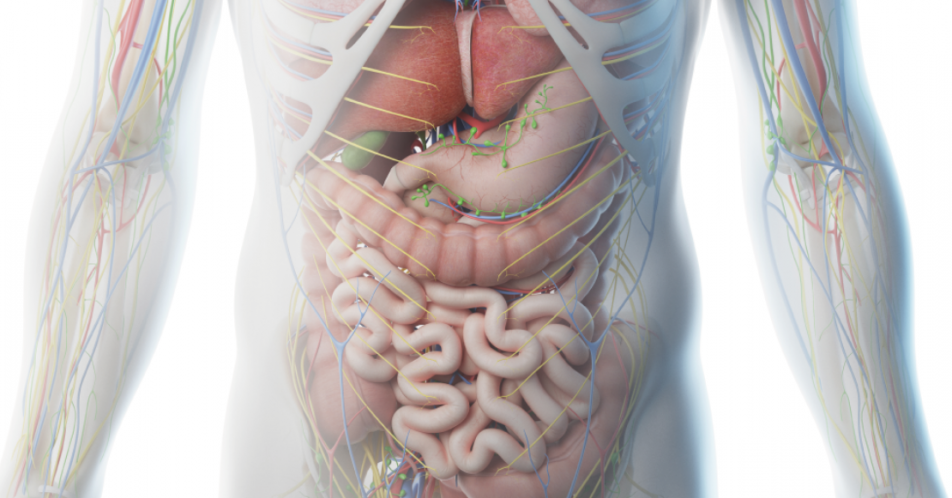 Gastrointestinale Stromatumoren: Therapie bei disseminierter Erkrankung