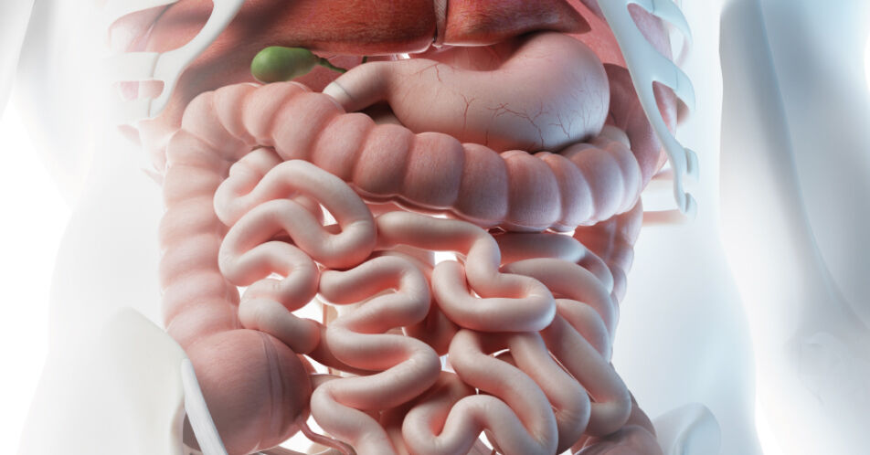 Präzisionsonkologie: Molekulare Klassifikation gastrointestinaler Tumoren