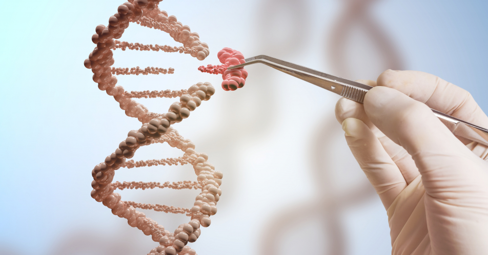 Genome Editing mit CRISPR/Cas9 in Onkologie und Hämatologie