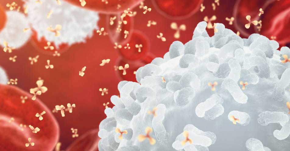 MDSC: Aktuelle Daten zu myeloiden regulatorischen Immunzellen