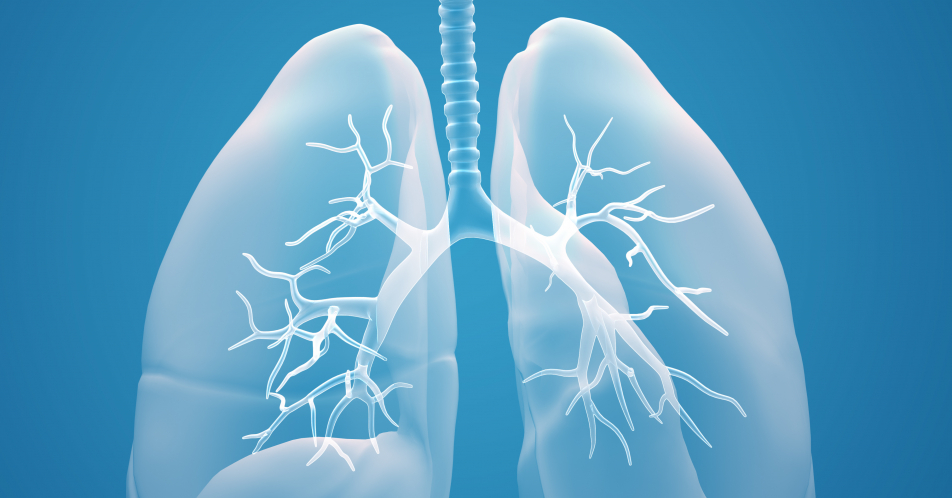 Mehr Lebenszeit bei Lungenkrebs durch Immuntherapie