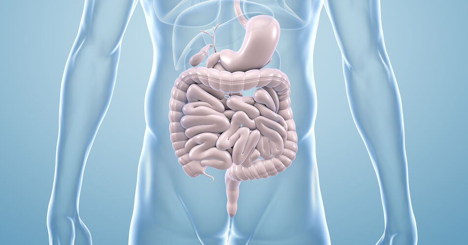 Fortgeschrittene gastrointestinale Stromatumoren: Ripretinib – neue Behandlungsoption für die vierte Linie