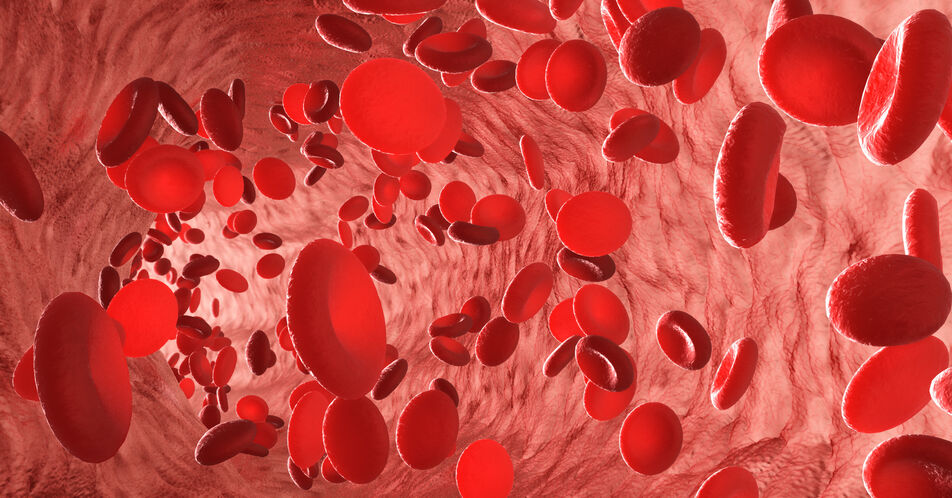 Niedrigrisiko-MDS: Dauerhafter Therapieerfolg bis hin zur Transfusionsfreiheit mit Luspatercept* möglich