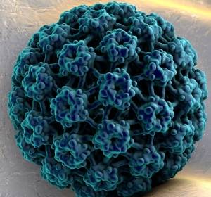 Virus-assoziierter Krebs: Immunsystem als therapeutisches Werkzeug nutzen