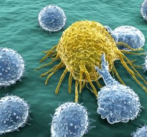 Weltweites Forschungsnetzwerk zur Krebsimmuntherapie