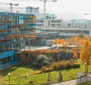 DKG zertifiziert "Gynäkologisches Krebszentrum" in Heidelberg