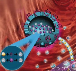 Anti-Tumor-Synergie durch nanomedizinisches Therapiekonzept