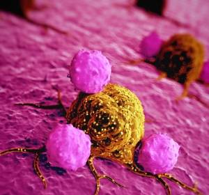 Krebs-Immuntherapie: Geeignete Antigene mit Massenspektrometrie identifizieren