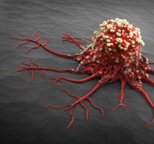 Aktivität von Gamma-Delta-T-Lymphozyten gegen Tumore steigern