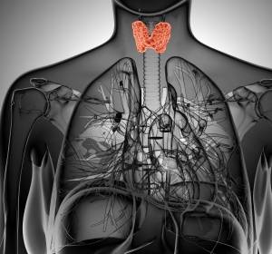 Schilddrüsenknoten: Ultraschall-basierte Methode verbessert Diagnostik