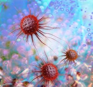 Multiples Myelom: Wirkung von Amanitin auf Tumorzellen von humanen Patienten belegt