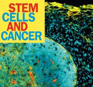 Krebsstammzellen: Von der Grundlagenforschung zu innovativen Behandlungsstrategien