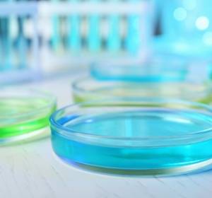 Zellen auf Resistenzen gegen Krebsmedikamente testen