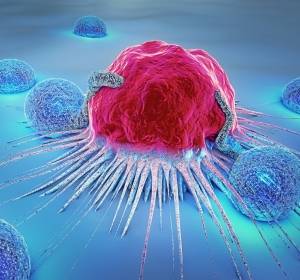 Forschungsprojekte zu rezeptorgesteuerten Immunreaktionen und zum Einfluss von Gewebeübersäuerung auf das Tumorwachstum