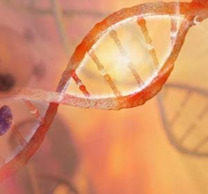 DNA-Schäden: Reparatur möglicher Ansatz für Krebstherapie 