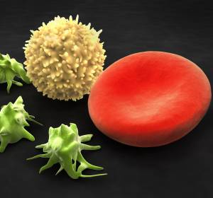 Biomarker: Methodik zur Messung der Verformbarkeit roter Blutkörperchen 