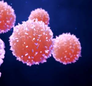 T-Zellen: Nachweis über künstlich stabilisiertes MHC-Protein