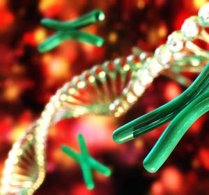 RNA-Forschung: Neue Ansätze für die Onkologie 