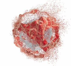 Immunonkologische Therapien: Neue Studiendaten zu Lungen- und Mammakarzinom