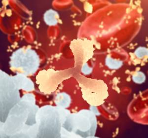 Verbesserung der Krebs-Immuntherapie durch Antikörper-Kombination 