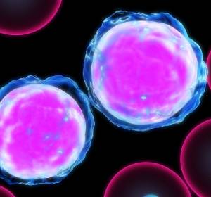 Leichtketten-Amyloidose: Mutationen in Plasmazellen ursächlich