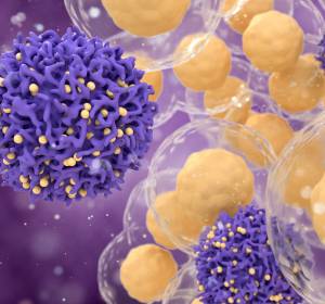 Immunologisches Gedächtnis: Langlebigkeit follikulärer T-Helferzellen