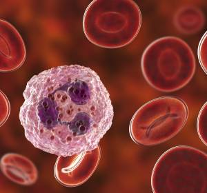 Erste europaweite Studie zu myeloiden regulatorischen Immunzellen