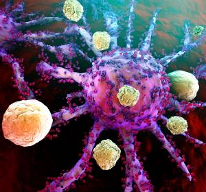 MLLT6-Inhibition potenzielle Basis für neue immunonkologische Therapien