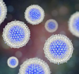 Hepatitis-C-Virus: Infektion beeinflusst Aktivität und Ausbreitung mobiler genetischer Elemente in Leberkrebszellen