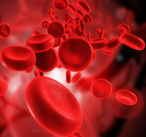 Leukämie: Schaltstelle für frühe Blutbildung entschlüsselt