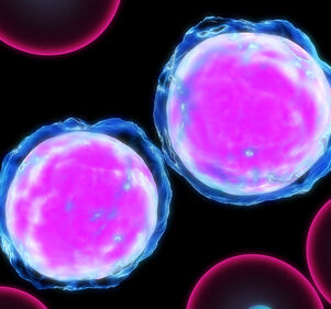 Multiples Myelom: Regulator für Bildung von Blutkrebs entdeckt