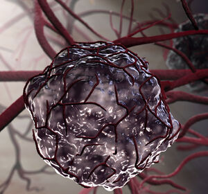 ESMO 2021: Forschungsergebnisse des Onkologie-Portfolios von Bayer