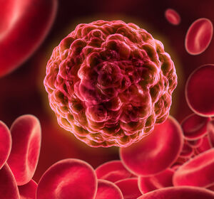 Wie entstehen Blut- und Leukämiezellen? Single Cell Diagnostik mit FACS-Analyse kombinieren