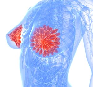 CHMP empfiehlt Zulassung von Abemaciclib zur adjuvanten Brustkrebstherapie bei Erwachsenen mit hohem Rezidivrisiko