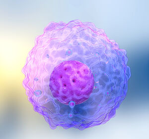 Wie lässt sich die Ausbreitung von Tumorzellen stoppen?