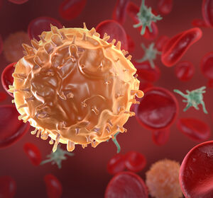 Weltblutkrebstag: Prof. Dr. Andreas Neubauer über neue Therapien gegen Leukämie