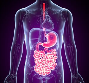 Aktuelle Entwicklungen bei gastrointestinalen MSI-h und PD-L1+ Tumoren