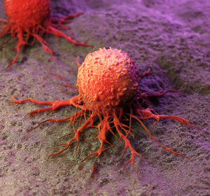Neue Krebstherapien: Degrader für den gezielten Abbau von schadhaften Proteinen