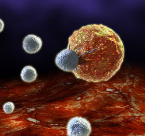 Nanoschalter für gezielte Tumorbekämpfung – SPRIND finanziert TUM-Ausgründung Plectonic