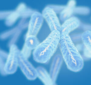 Neuer Mechanismus für Chromosomen-Fehler in Krebszellen entdeckt