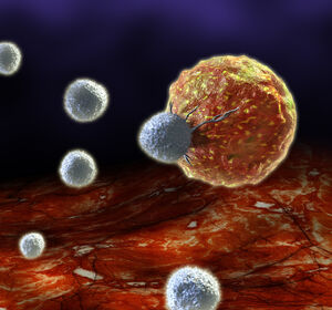 Antibiotika als Störfaktor bei CAR-T-Zell-Therapien