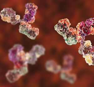 Neuer Checkpoint-Antikörper zur Behandlung verschiedener solider Tumoren