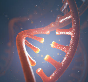 DNA-Reparatur: Neuer Ansatzpunkt für Krebstherapien entdeckt