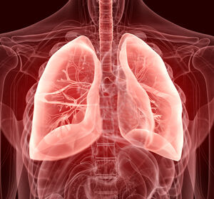 Methylierungsanalyse verbessert Lungenkrebs-Risikovorhersage