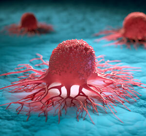 Verstärkte Ferroptose in Krebszellen: Wirkmechanismus von DHODH-Blockern aufgedeckt
