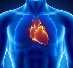 Krebsbedingter Herz-Schwund – Neue Form der Kardiomyopathie entdeckt